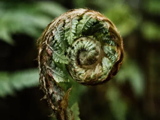 Hyperreal wallpaper
