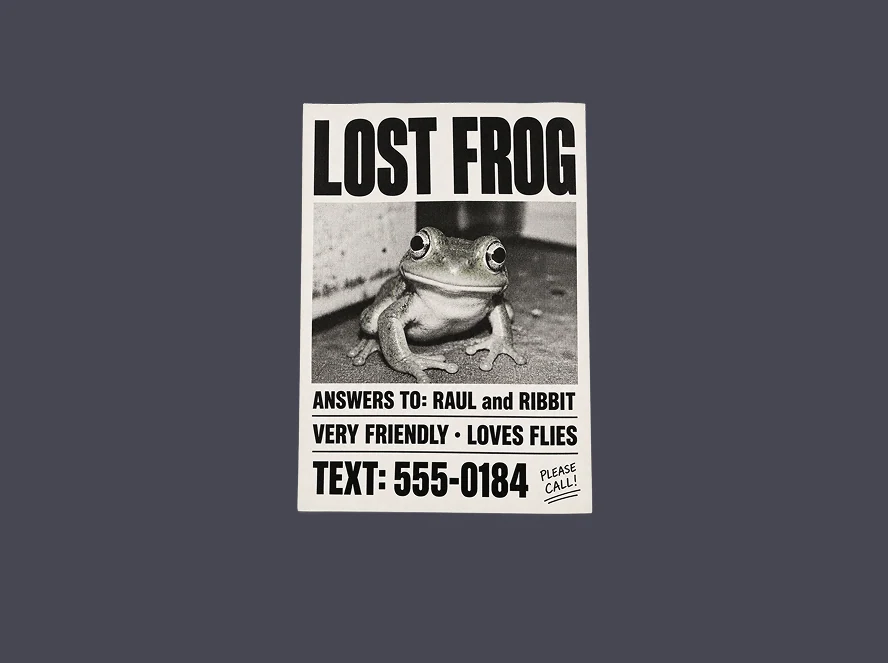 Black and white LOST FROG flyer with a frog photo and the contact text TEXT: 555-0184.